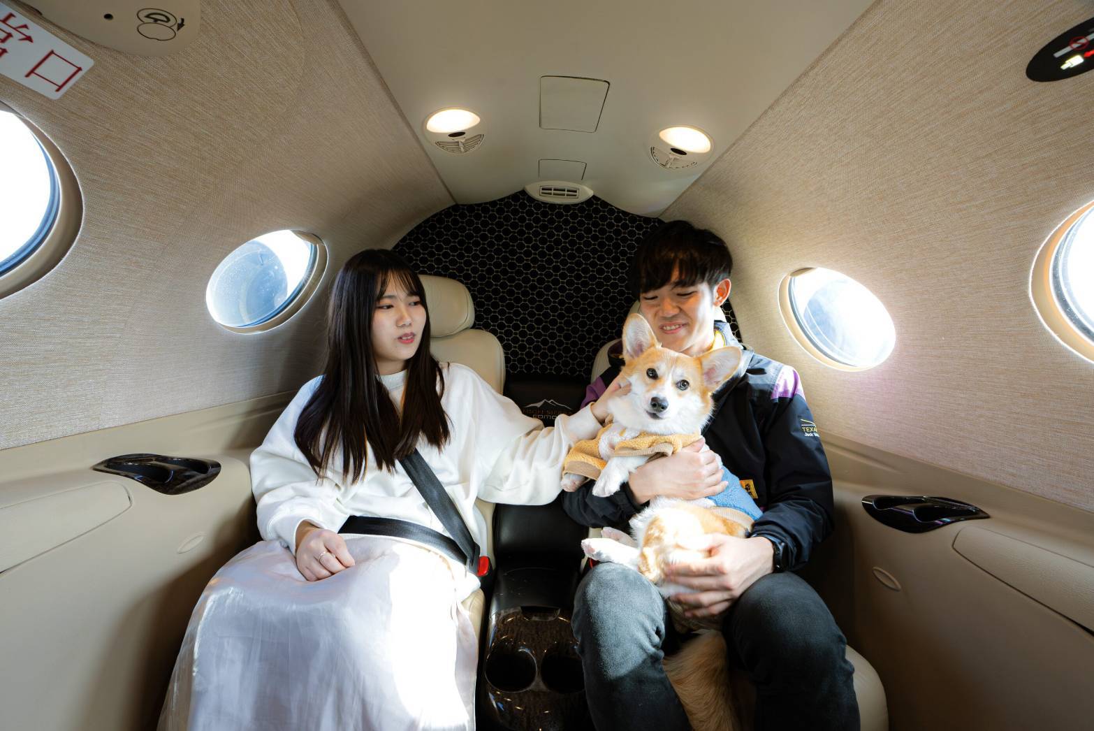 犬と一緒にプライベートジェットの機内で