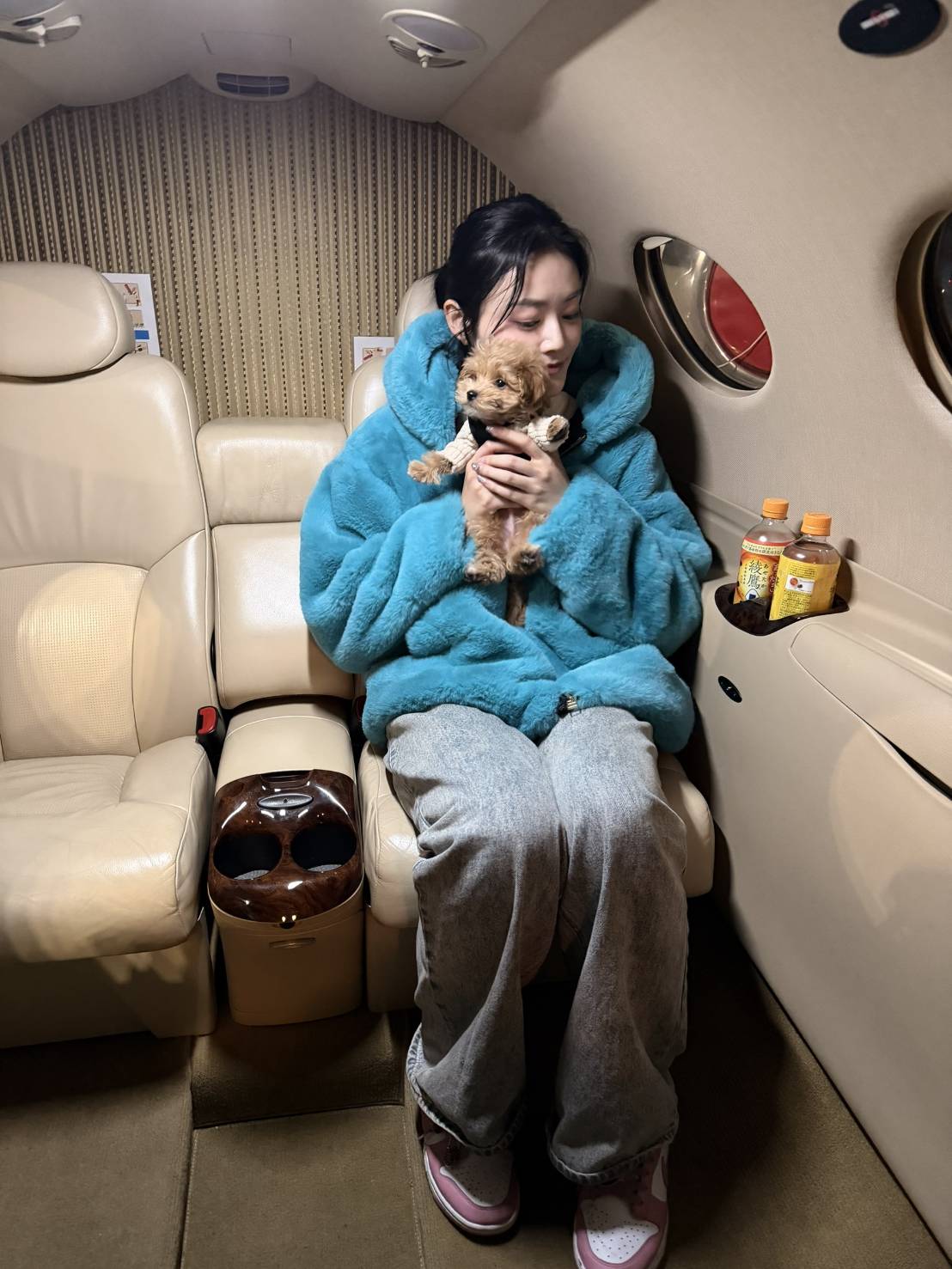 ペット同伴のプライベートジェット国内チャーター／ARIAir