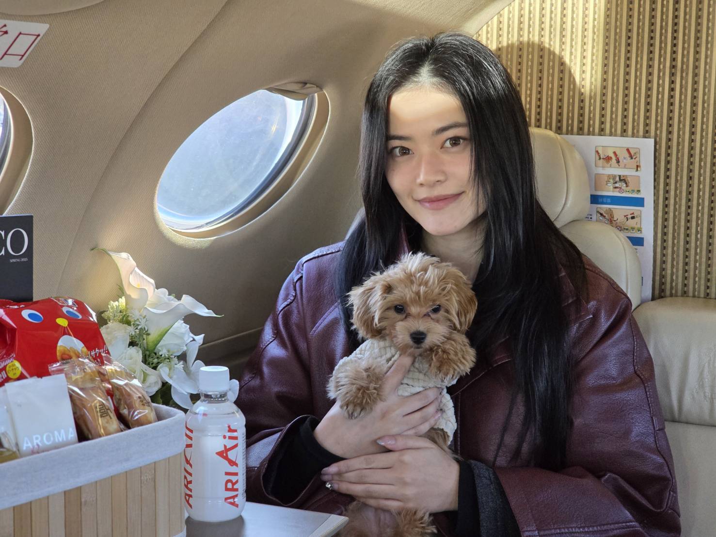 機内でケージから出して抱っこできる犬
