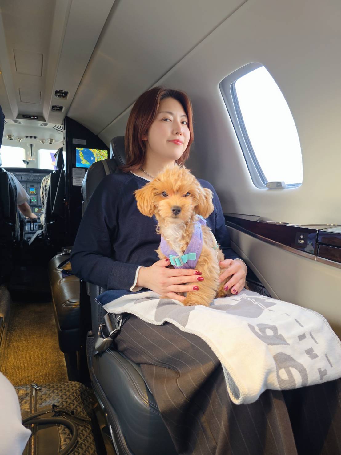 犬・猫と一緒に飛行機