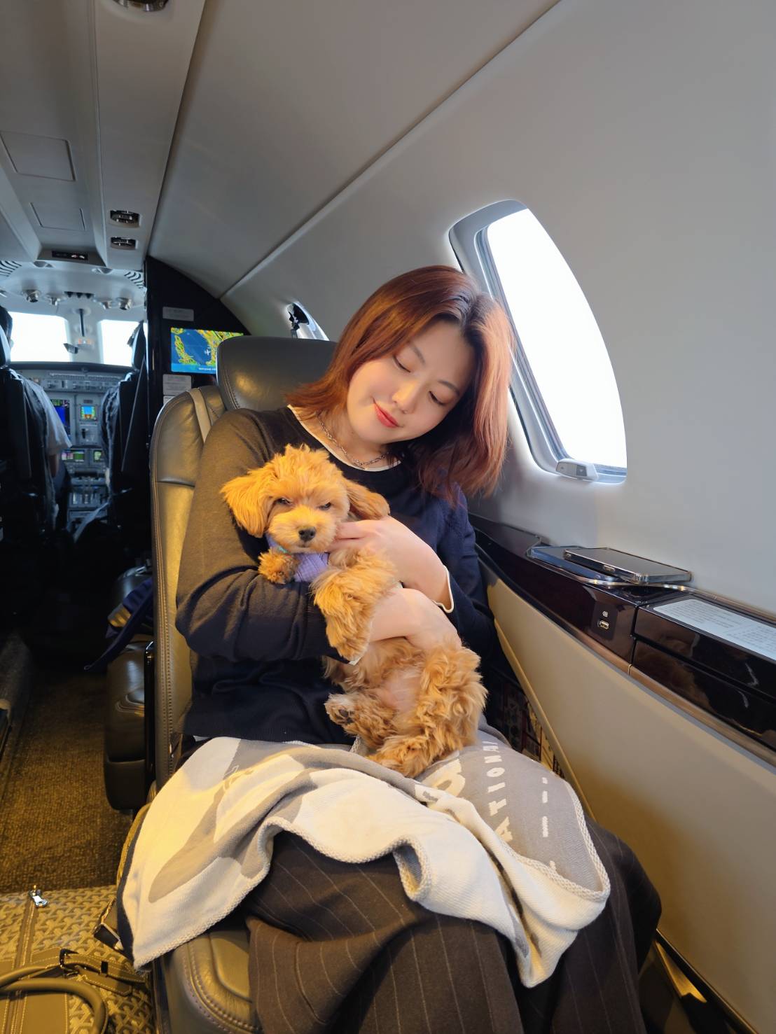 愛犬とプライベートジェットの機内で／ARIAir