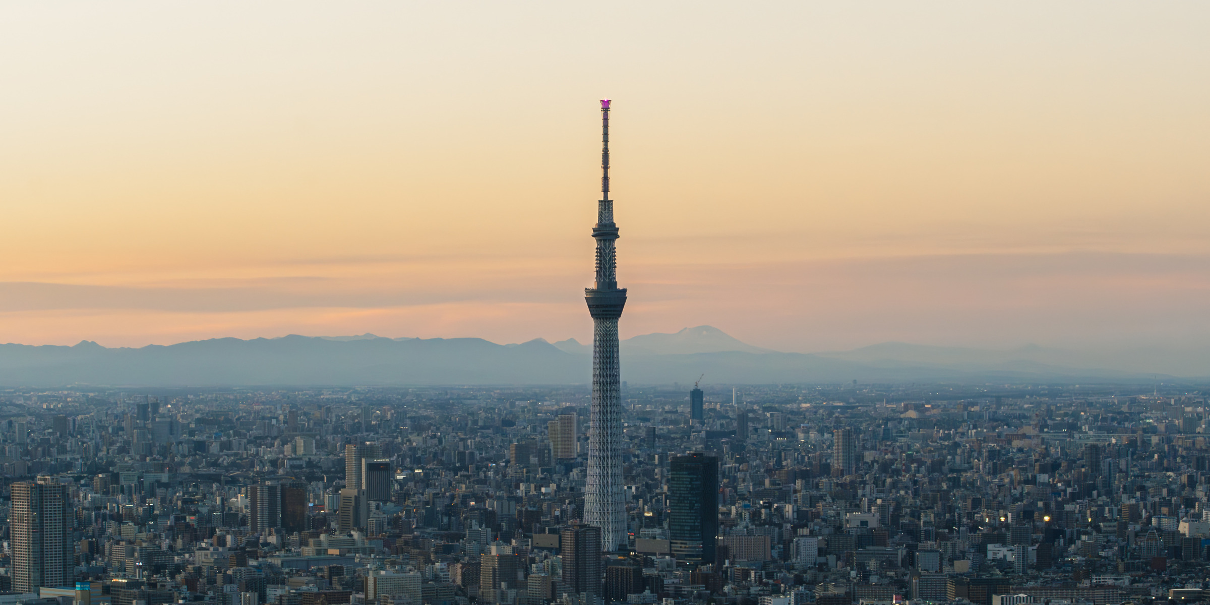 東京