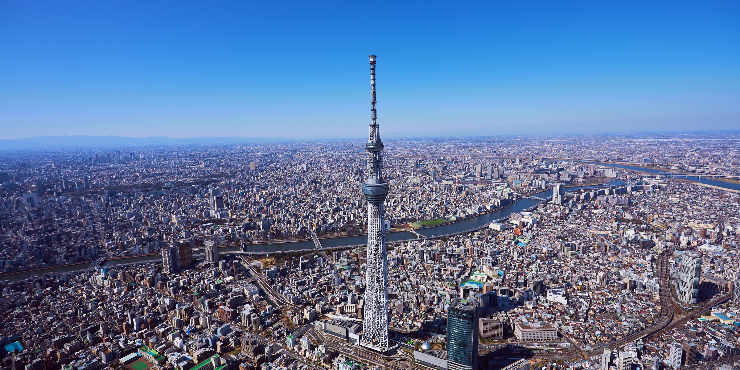 東京